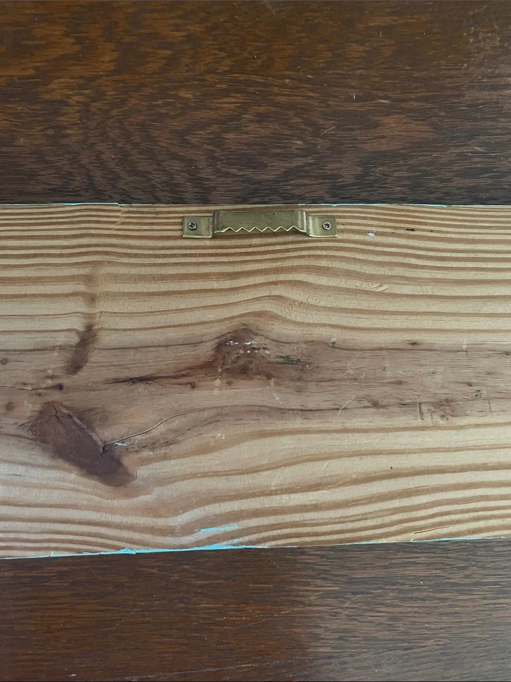 Rustic Minty color Wall Hook wood Panel with Orange Bird Hooks